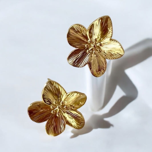 Aretes Giana / Dorados - A004