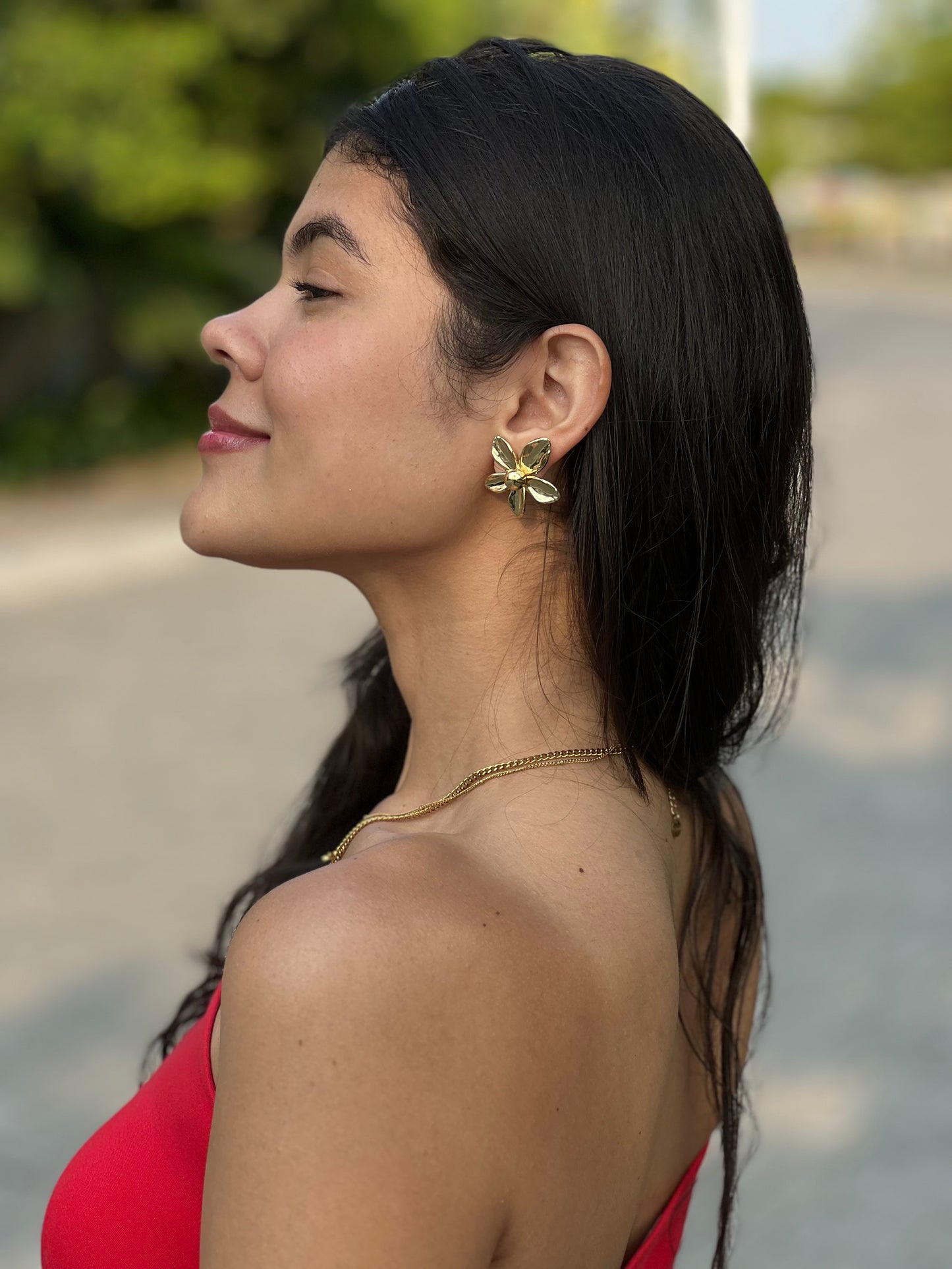 Aretes Linda  - A002