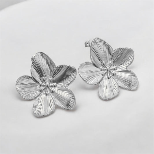 Aretes Gianna / Plateados - A003